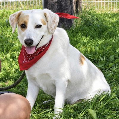 Notfell Nerita, Mehr Infos – Tierfreunde helfen Tieren in Not e.V.